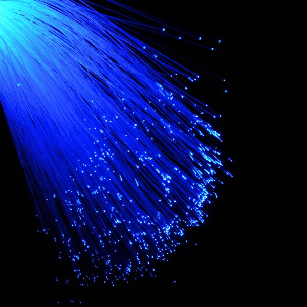 Fibre Optique Bleue Sur Réseau Informatique — Photo