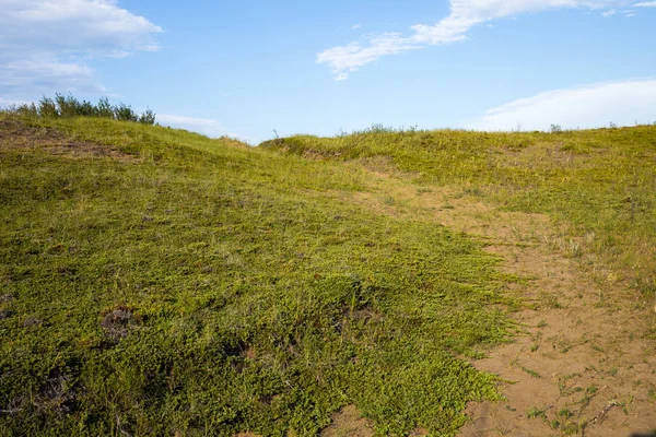 Una Ruta Senderismo Cranberry Flats Conservation Área Saskatoon —  Fotos de Stock