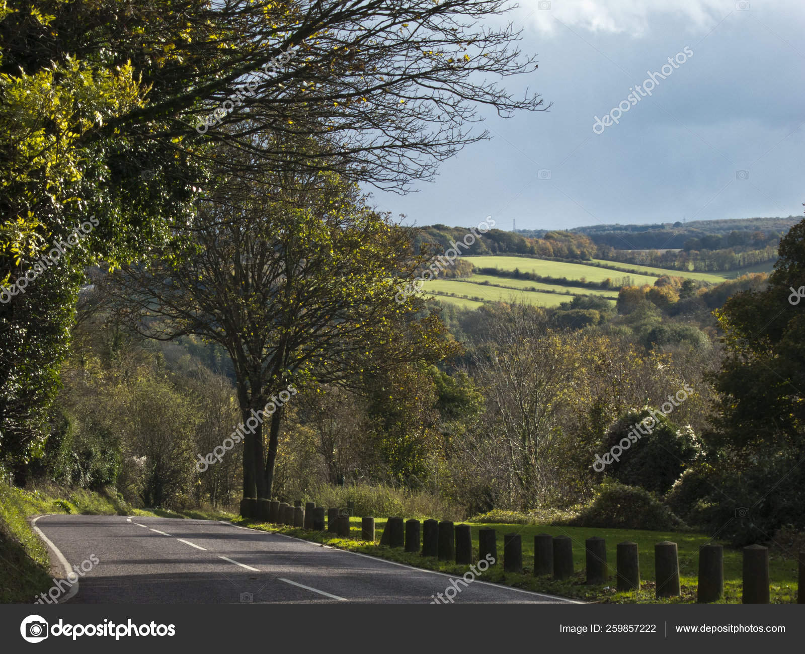 View Capstone Park Ash Tree Lane Gillingahm Stock Photo by ©YAYImages