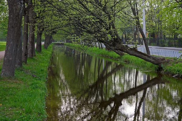 Vista Del Canal Los Árboles Parque Peterhof Rusia — Foto de Stock