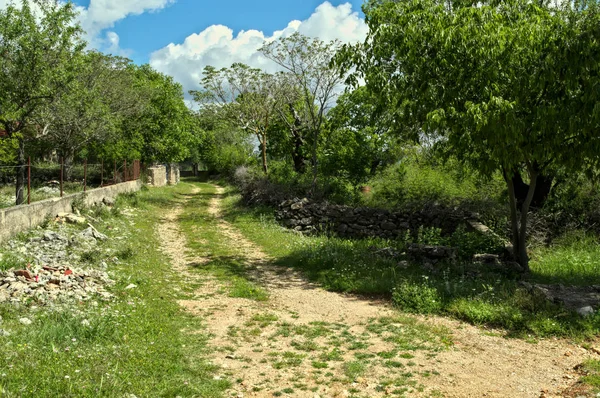 Countryside Road Dalmatië Lente Tijd — Stockfoto