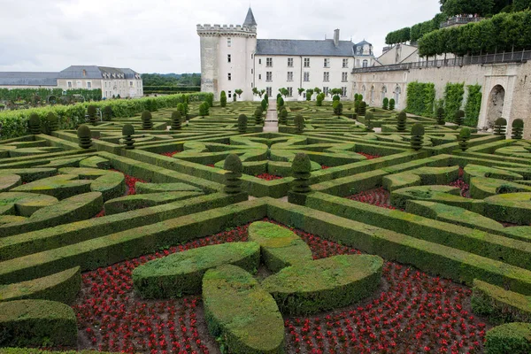 Kertek Chateau Villandry Loire Valley Franciaország — Stock Fotó