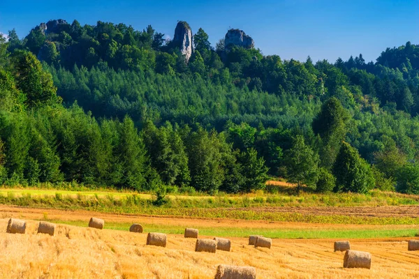 Landscape Field Harvest Field Haystack — Stock Photo, Image