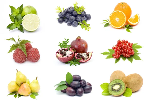 Raccolta Frutta Fresca — Foto Stock