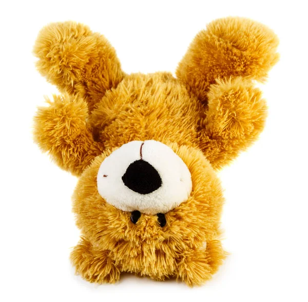 Spielzeug Teddybär Isoliert Auf Weißem Hintergrund — Stockfoto