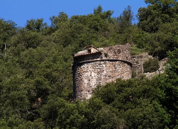 Torre Del Castillo Rodeada Árboles Ardche Francia — Foto de Stock
