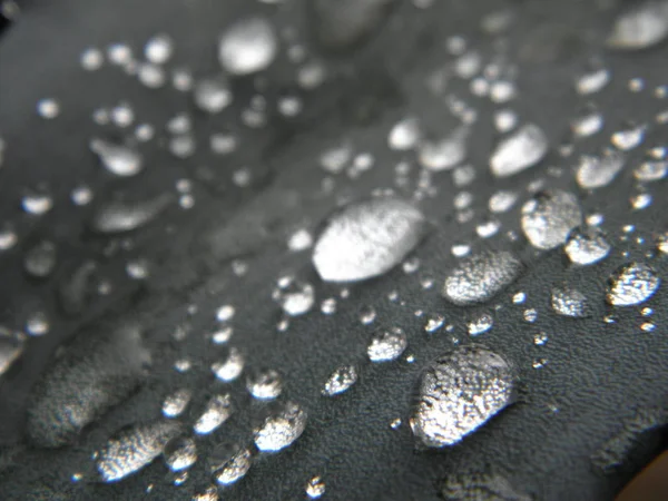 Esőcseppek Egy Lapon — Stock Fotó