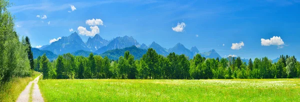 Summer Mountains Panorama Germany — Stock Photo, Image