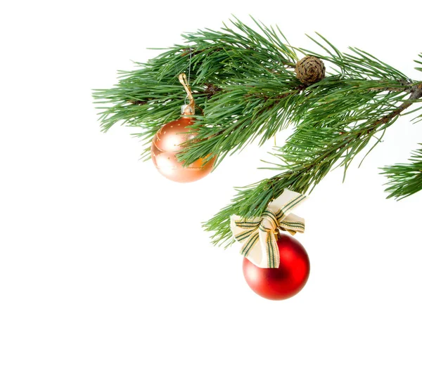 Groene Takken Van Dennen Versiering Cristmas Witte Achtergrond — Stockfoto