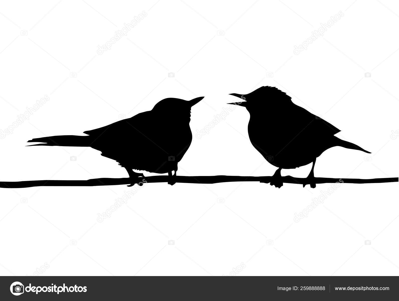 Vector Drawing Two Birds Sitting Branch Stock Photo © YAYImages