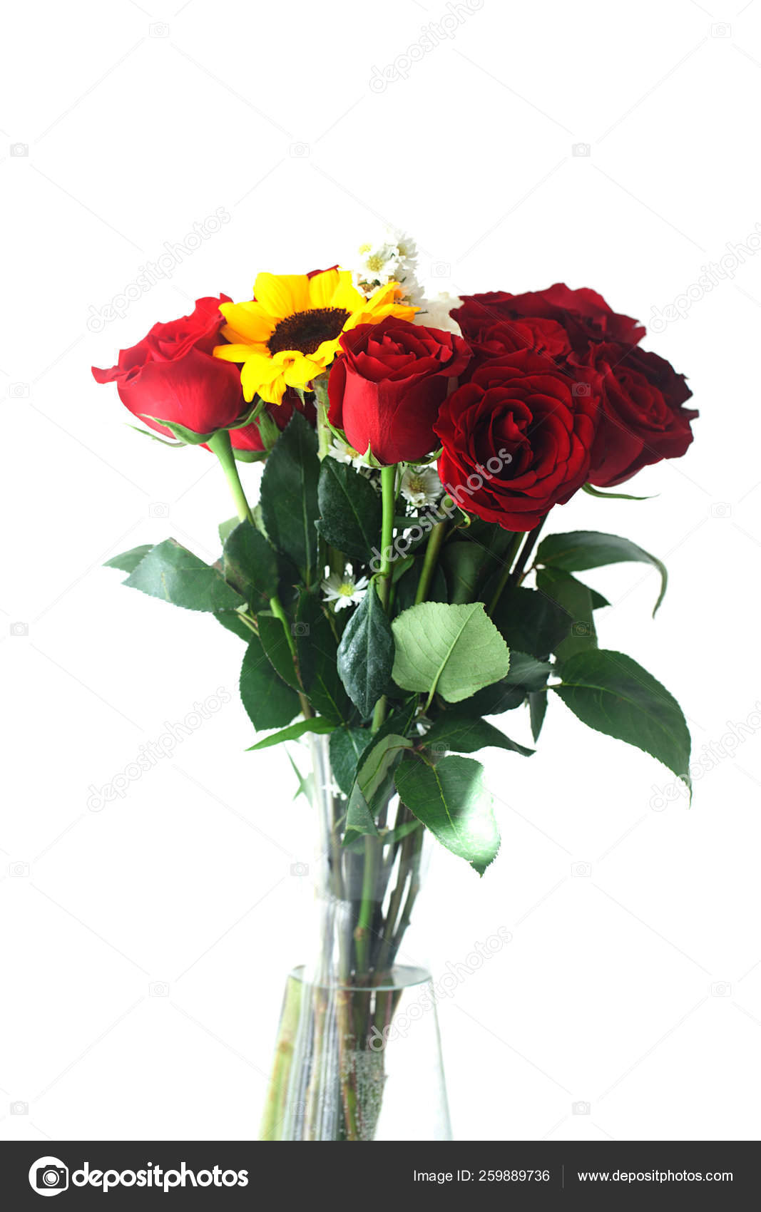 Bouquet Red Roses Sunflowers Stock Photo C Yayimages Bouquet Red Roses Sunflowers Stock Photo C Yayimages