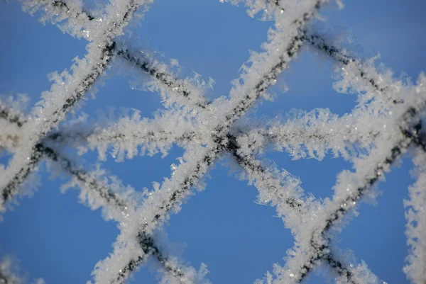 寒い天候はフェンスに氷の結晶を作成します — ストック写真