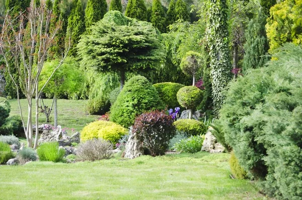 Foto Jardinería Paisajismo Con Árboles Plantas Decorativas —  Fotos de Stock