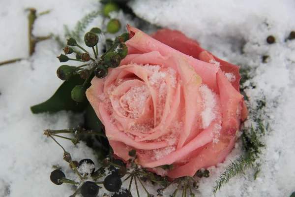 Bir Pembe Dondurulmuş Gül Kar Çilek Ile Dekore — Stok fotoğraf