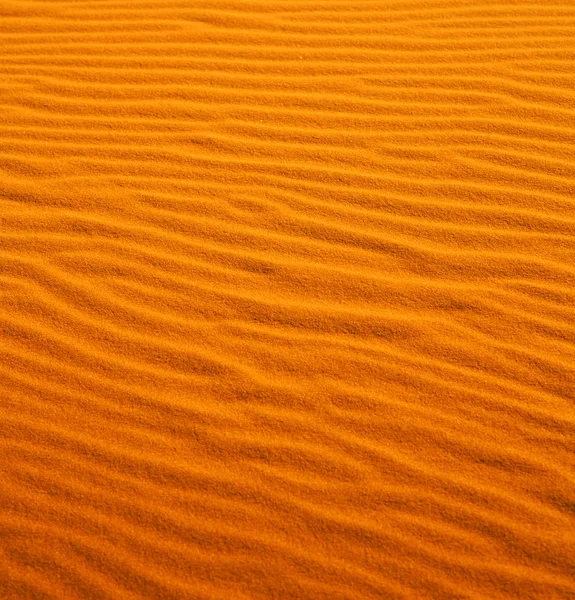 Hnědá Písečná Duna Poušti Sahara Morocco — Stock fotografie