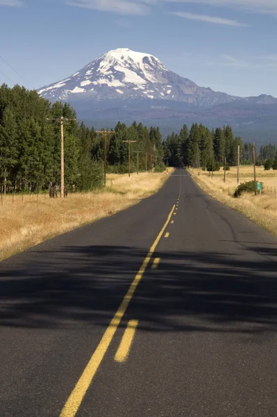 Mount Adams Från Motorväg 141 — Stockfoto