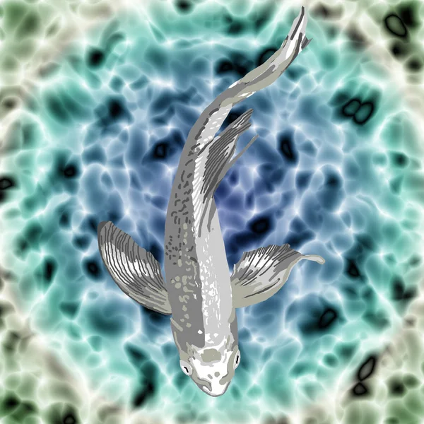 Ein Schöner Silberner Schmetterlingskoi Schwimmt Anmutig Einem Teich — Stockfoto
