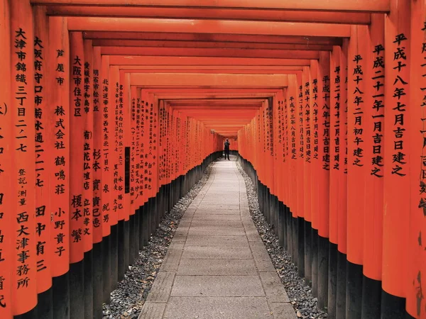 Torii Fushimi Inari Taisha Shrine Kyoto Japón — Foto de Stock