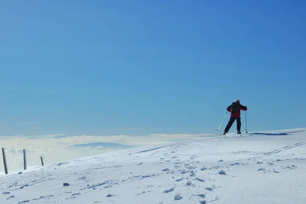 Bir Kayakçı Sviçre Jura Serisindeki Bir Dağda Karla Kaplı Yumuşak — Stok fotoğraf