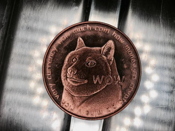 Digitale Valuta Fysieke Messing Dogecoin Munt Met Hond Voorzijde — Stockfoto