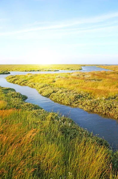 Idyllic Lawn Stream Sunlight — Stock Photo, Image