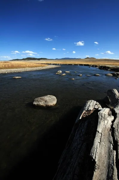 South Platte River Colorado Plains Foto Potret — Stok Foto