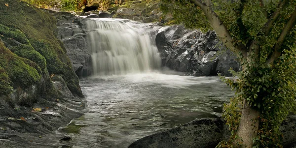 Rio Galês Afon Gamlan Tem Muitas Cachoeiras Seu Caminho Através — Fotografia de Stock