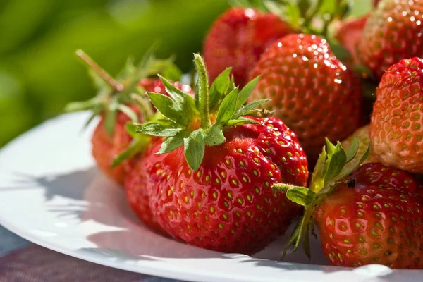 Foodserie Frisch Gezüchtete Leckere Erdbeeren Auf Dem Teller — Stockfoto
