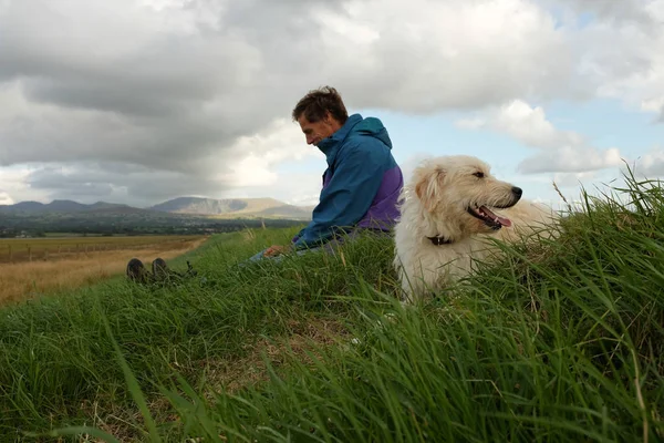 Labradoodle Dog Lays Green Grass Looking One Side Owner Man — Stock Photo, Image