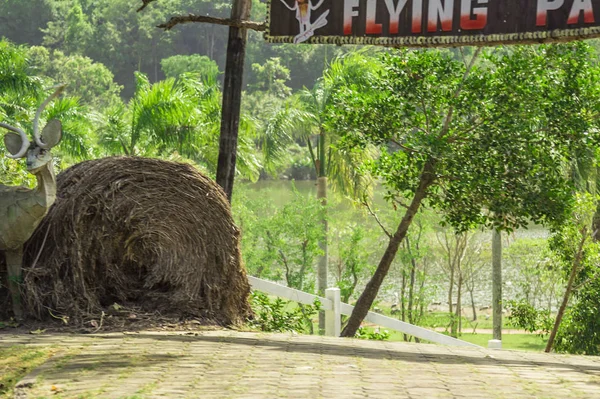 Tayland Güneydoğu Asya Doğal Manzaralar Egzotik Flora Fauna — Stok fotoğraf