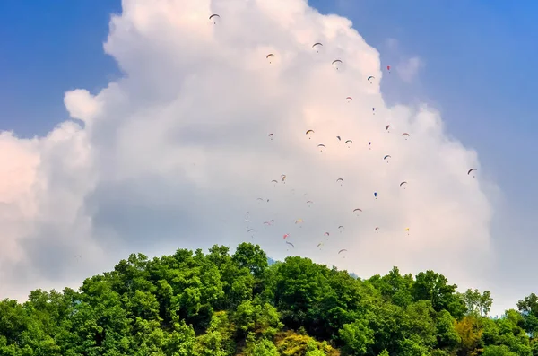 Many parachutists paragliding above green trees mountain