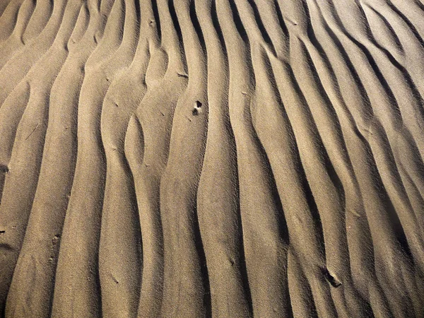Närbild Maspalomas Sanddyner — Stockfoto