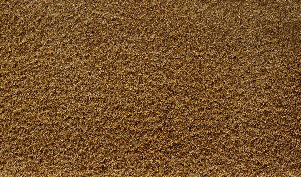 Wet Coarse Sand Background Texture Closed — Stock Photo, Image