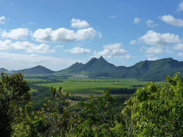 Domaine Etoile Costa Orientale Dell Isola Mauritius — Foto Stock