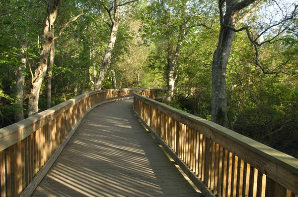 Holzbrücke Schlängelt Sich Durch Schattigen Wald — Stockfoto