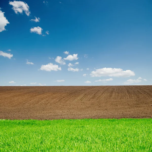 Hierba Verde Campos Arados Negros Bajo Cielo Azul — Foto de Stock