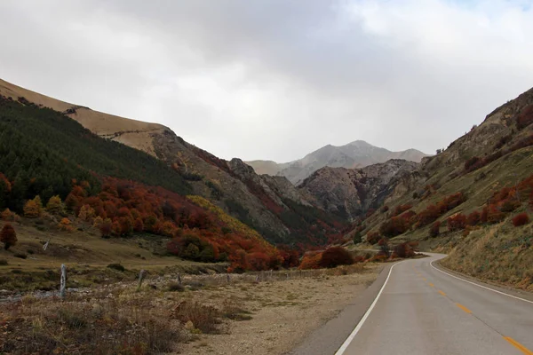 여름입니다 Carretera — 스톡 사진