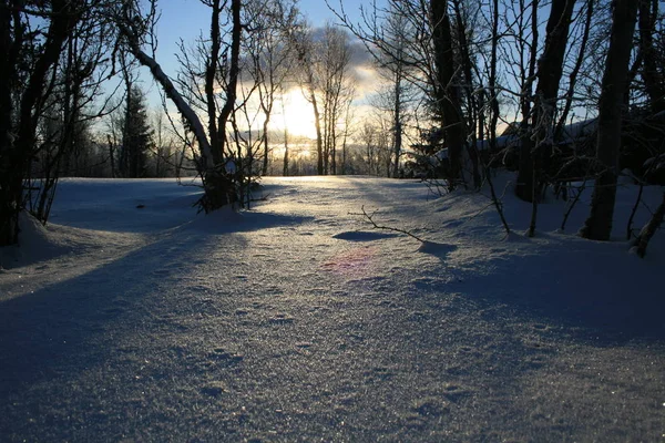 Όμορφος Χειμώνας Φυσικό Φόντο — Φωτογραφία Αρχείου