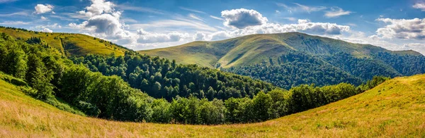 Paysage Estival Panoramique Avec Route Travers Prairie Flanc Colline Montagne — Photo