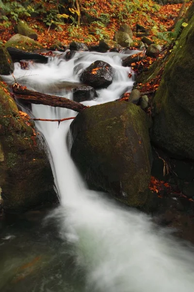 Colores Otoñales Del Río Oirase Ubicado Prefectura Aomori Japón — Foto de Stock