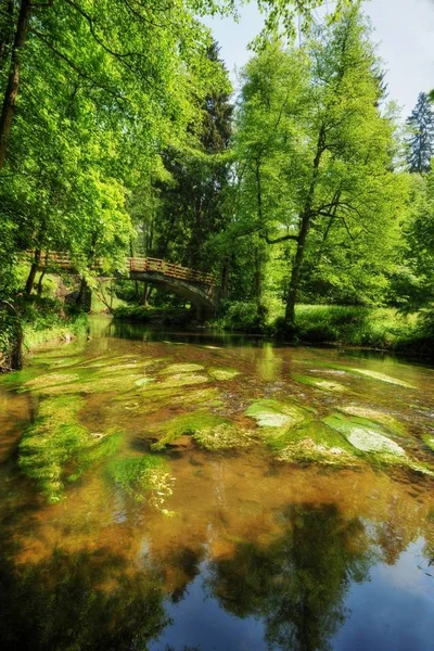 Дикая Река Каменице Протекающая Между Скалами Чешской Швейцарии — стоковое фото