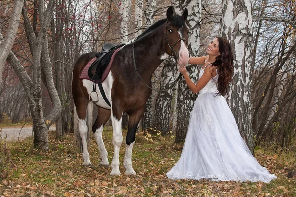 Young Woman Horse Forest — Stock Photo, Image