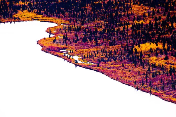 Jezero Boreálním Lese Teritorium Yukon Kanadě Povrch Jezera Vzhledem Intenzivnímu — Stock fotografie