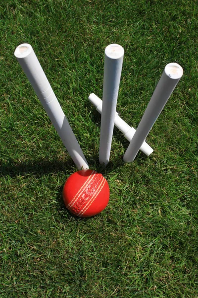 A portrait format image of a set of three white wooden cricket stumps with a red leather cricket ball at their base, with a fallen cricket bail behind. All set on green grass.