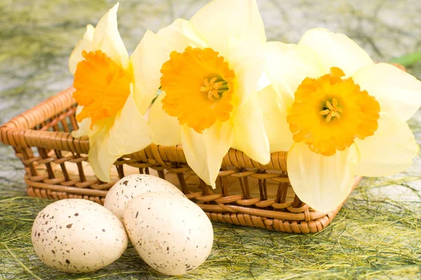 Oeufs Pâques Mouchetés Décorés Avec Bouquet Jonquilles Dans Panier Tissé — Photo