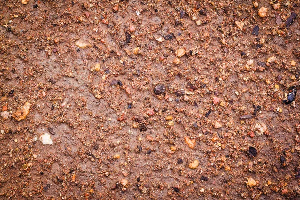 Tekstur Tanah Basah Latar Belakang — Stok Foto