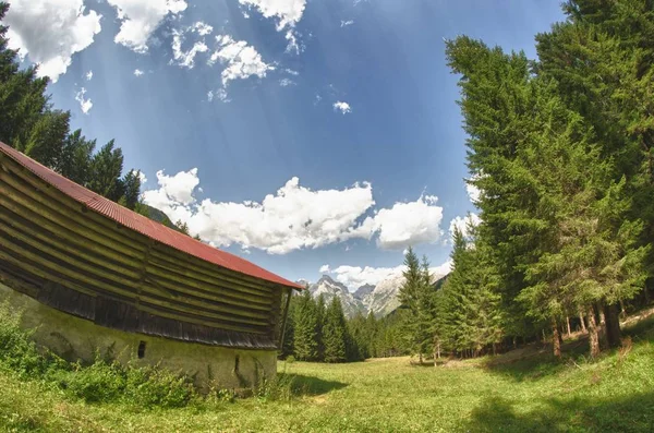 Kunyhó Fák Dolomitokban Olaszország — Stock Fotó