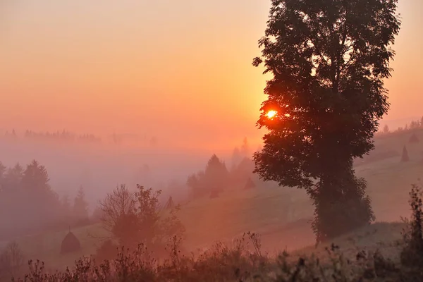 Mañana Brumosa Montañas Rurales Brumosas Niebla Otoño Amanecer Las Montañas — Foto de Stock