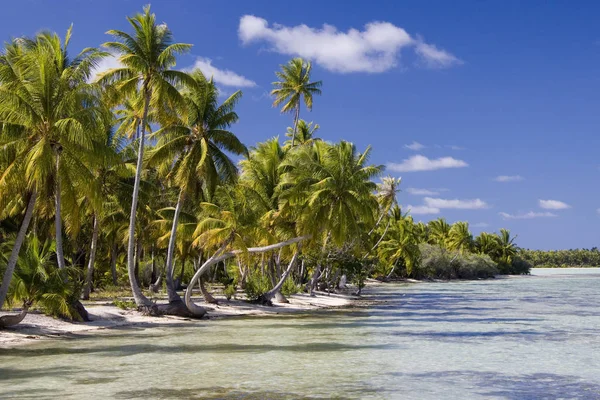 Una Piccola Isola Tropicale Nella Laguna Aitutaki Nelle Isole Cook — Foto Stock