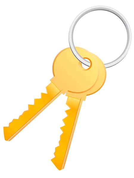 Two Vector Key White Background — Stock Photo, Image